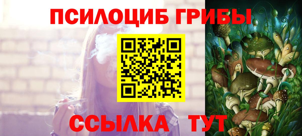 Галлюциногенные грибы Psilocybine cubensis Нижневартовск